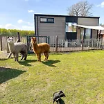 Tiny House Alpakablick - Inklusive Alpaka Meet & Greet An Bestimmten Terminen *