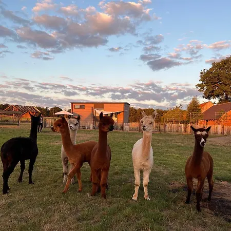 Tiny House Alpakablick - Inklusive Gratis Alpaka Meet & Greet דירה