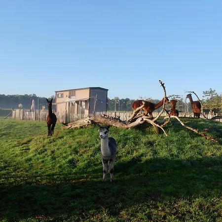 Apartmán Tiny House Alpakablick - Inklusive Gratis Alpaka Meet & Greet