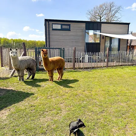 Tiny House Alpakablick - Inklusive Gratis Alpaka Meet & Greet *