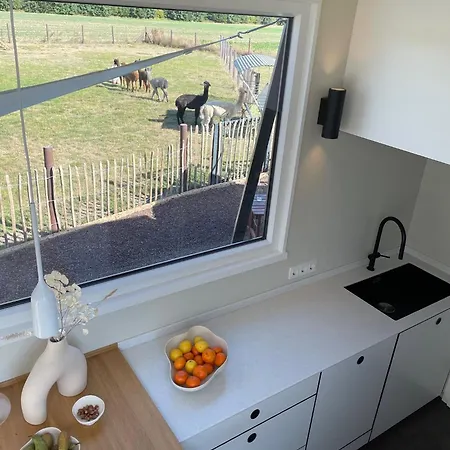 Tiny House Alpakablick - Inklusive Alpakas Entdecken & Fuettern