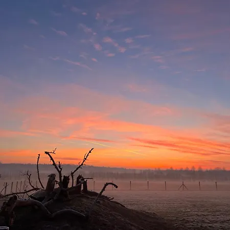 דירה Tiny House Alpakablick - Inklusive Alpaka Meet & Greet An Bestimmten Terminen בורקן
