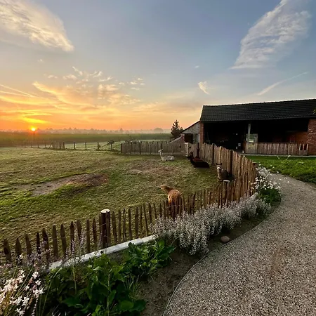 Apartmán Tiny House Alpakablick - Inklusive Gratis Alpaka Meet & Greet *