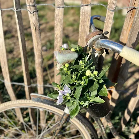 Apartmán Tiny House Alpakablick - Inklusive Gratis Alpaka Meet & Greet *