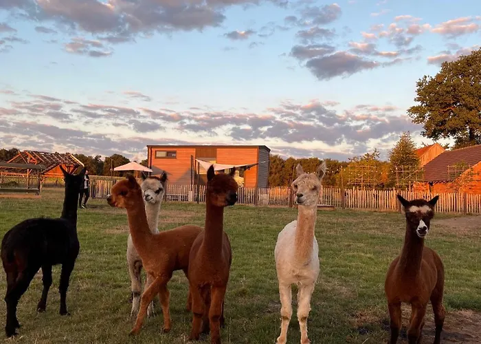 Tiny House Alpakablick - Inklusive Gratis Alpaka Meet & Greet Apartamento