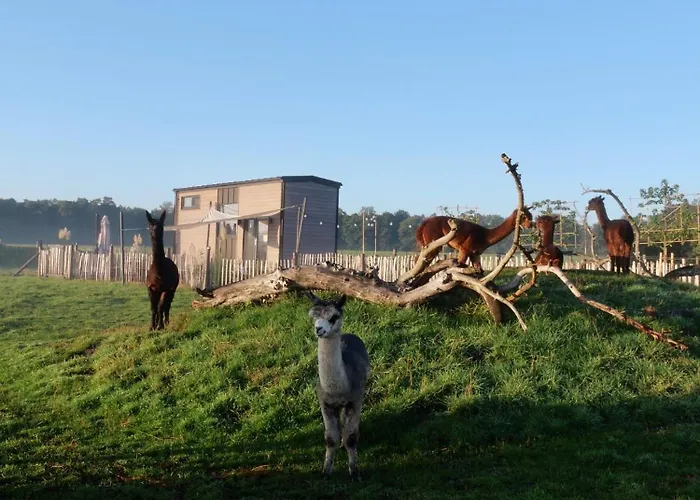 Apartamento Tiny House Alpakablick - Inklusive Gratis Alpaka Meet & Greet