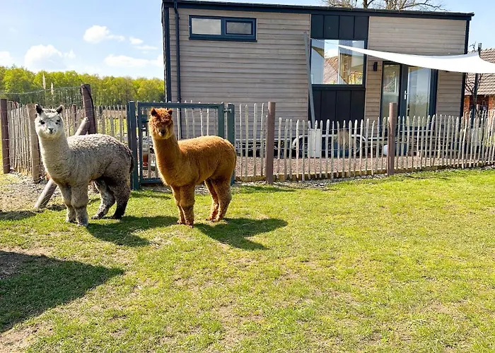 Tiny House Alpakablick - Inklusive Gratis Alpaka Meet & Greet *