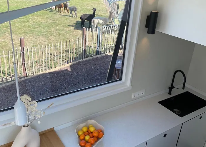 Tiny House Alpakablick - Inklusive Alpaka Meet & Greet An Bestimmten Terminen