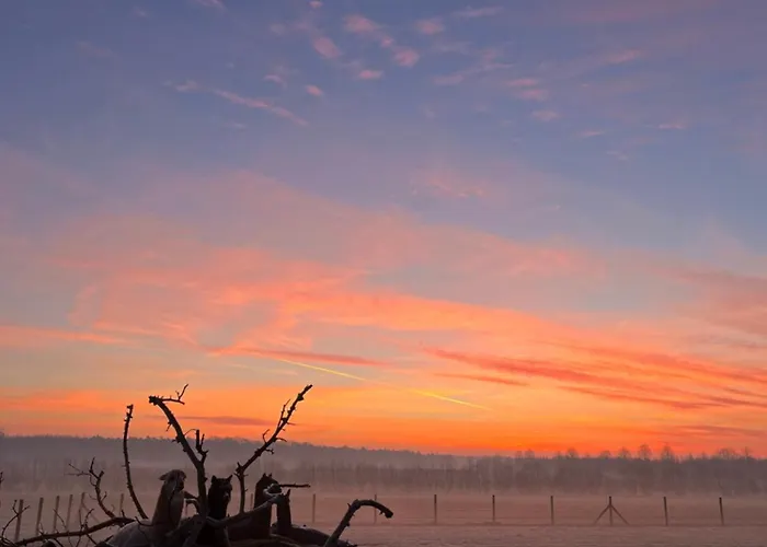 דירה Tiny House Alpakablick - Inklusive Alpaka Meet & Greet An Bestimmten Terminen בורקן