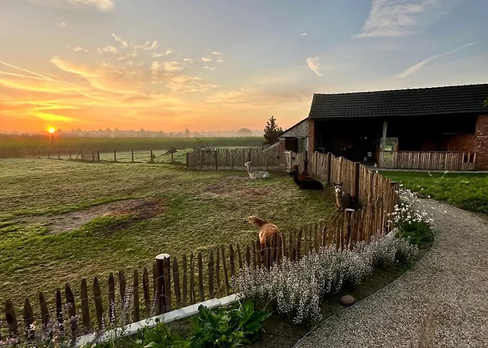 Apartamento Tiny House Alpakablick - Inklusive Gratis Alpaka Meet & Greet *